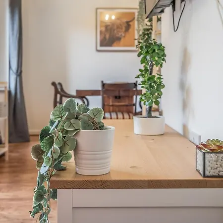 Spacious 3 Bedroom Modern House - Heart Of - Private Main Door Entrance & Private Garden With Stunning Views Of Arthur Seat * Edinburgh