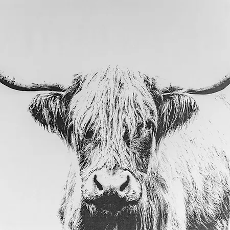 Amazing - Cables Wynd Near The Shore - Free Parking Εδιμβούργο