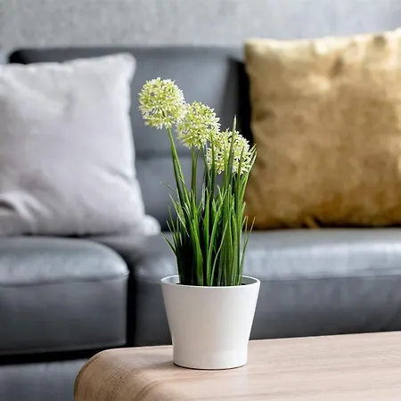 Stunning 1 Bed At Holyrood Palace & Arthurs Seat Edinburg