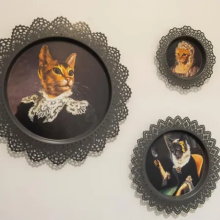 Modern Sleeps 6 에든버러