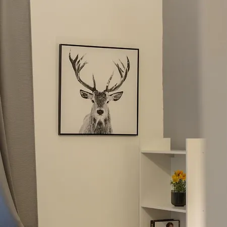 Stylish At The Edge Of Meadows Park