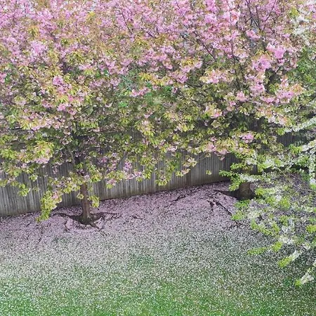 Penthouse Apartment Sleeps 11 *