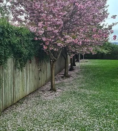 Penthouse Apartment Sleeps 11 * إدنبرة