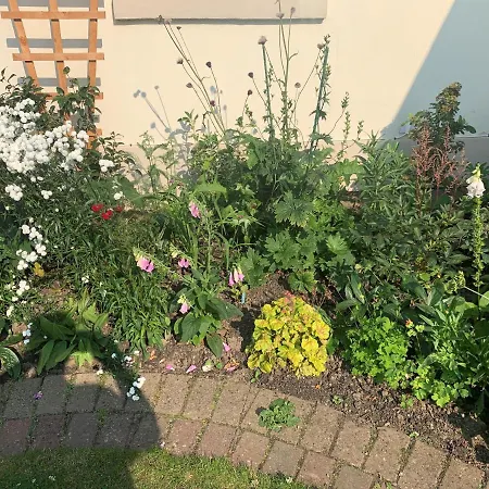 بيت للعطل Eastfield *