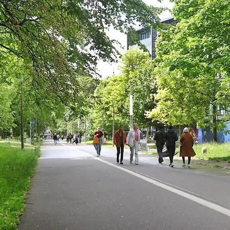 The Forrest Road * 爱丁堡