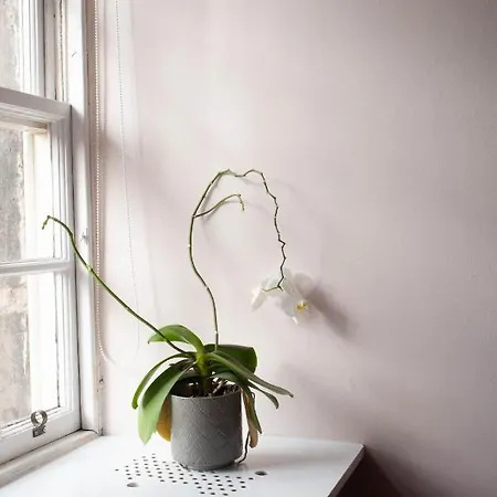 Charming Cosy Flat In The Heart Of Edinburgh * إدنبرة