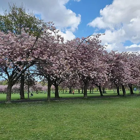 Lovely 2 Bedroom Flat In The Heart Of The Appartamento Edimburgo