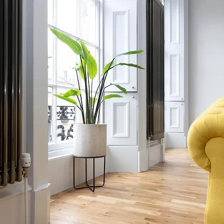 Dragon Luxury Serviced At Alva Street Apartment