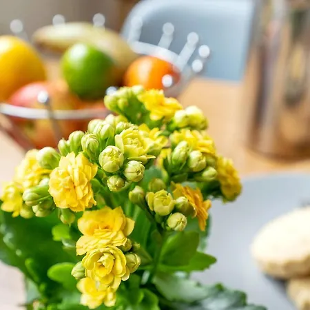 Appartement Cozy With Character Lovely