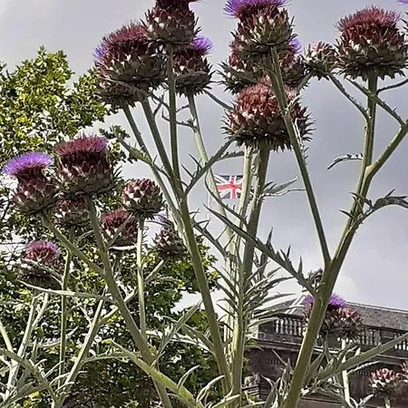 Apartamento St Quarter 2 Bed *