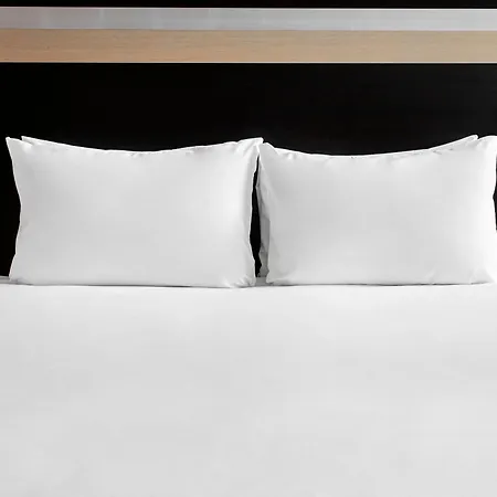 Hotel Zoo By Ihg 4*