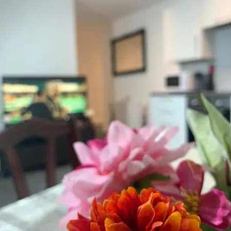 Apartment Ocean *
