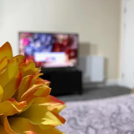 Apartment Ocean *