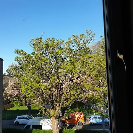 Large 3 Bedroom Apartment/flat In Ideal Location *