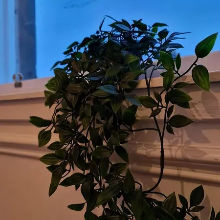 Pilrig St Vendégház Edinburgh