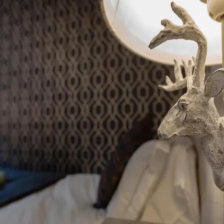 Appartement Special Basement Close To The Meadows