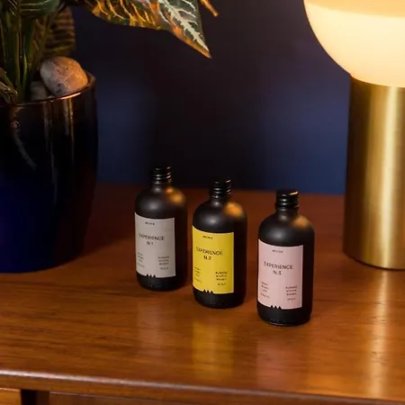 Joivy Contemporary With Free Parking