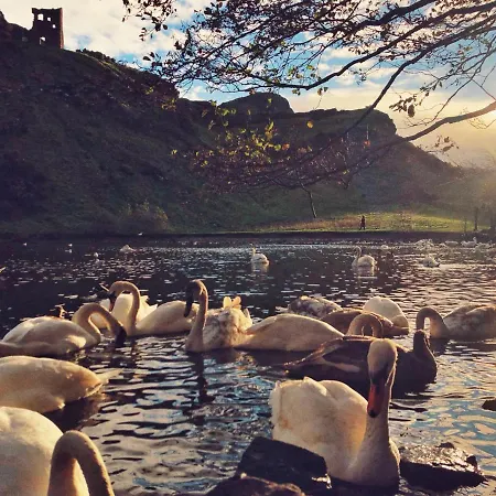 Apartamento Meadowbank 1-bedroom Flat *