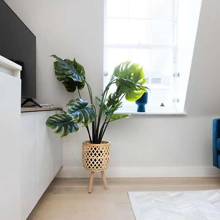 Apartment Joivy Tasteful On Rose South *