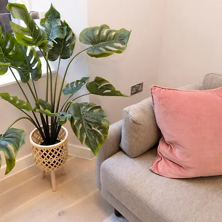 Joivy Tasteful On Rose South Edinburg