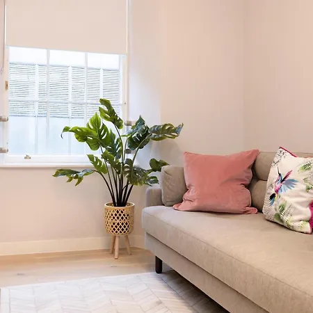 Joivy Tasteful On Rose South * Edinburg