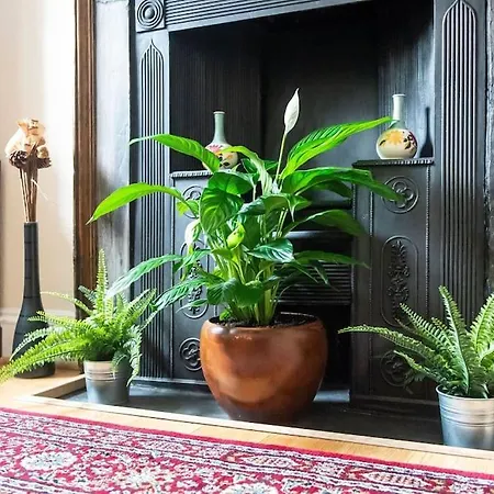 Charm & Character On Historic Rose Street 爱丁堡