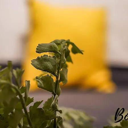 شقة Spacious 2br-1ba - Grassmarket - Free Parking By Bonjour Residences