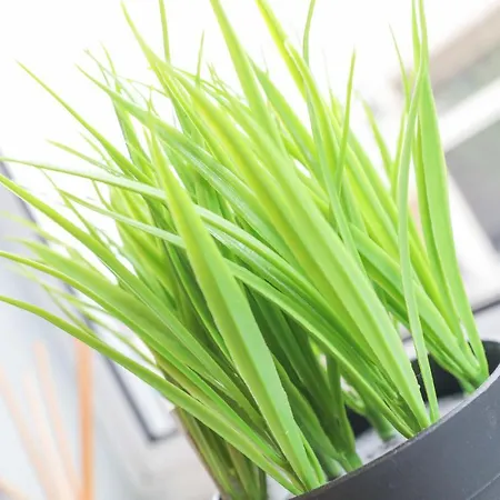 Casa de hóspedes Beautiful In - Free Parking *