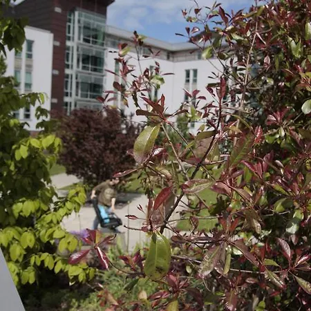 Summer At The Of شقة