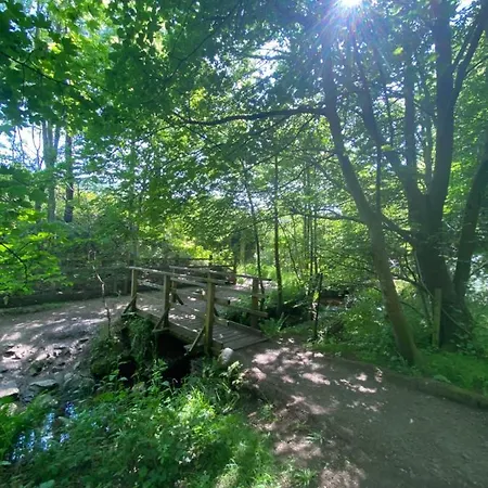 Cozy Bedroom In Shared With Free Parking Homestay *