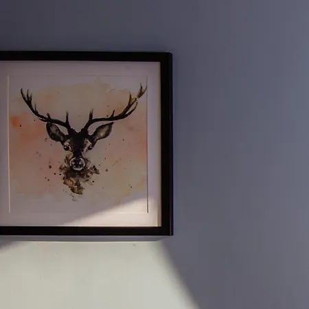 Warm&welcoming Centre By Meadows 6 * Edinburgh
