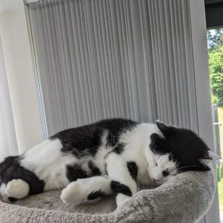 Private With Terrace And Free Parking * Edimburgo