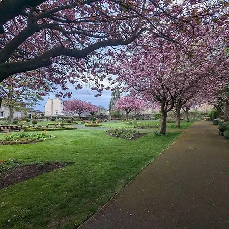 Peaceful Oasis By The Sea 아파트 *