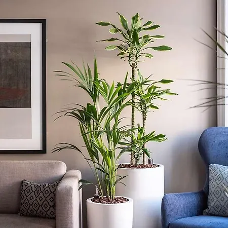 Aparthotel Heeton Concept Queen Street Edinburgh