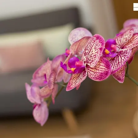 Lady Wynd - 1 Bed * Edinburgh