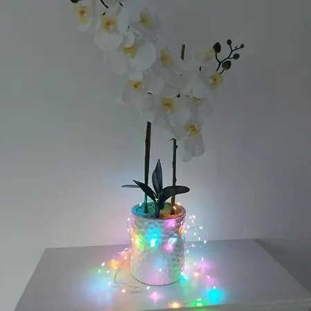 Beautiful 4-bedroom House With Private Garden & Parking Holiday home *