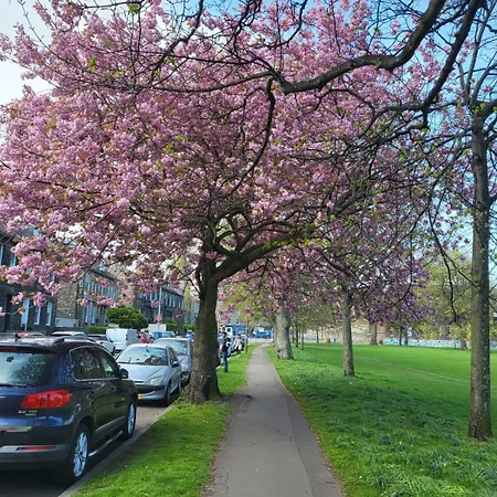 Mackenzie ゲストハウス エディンバラ