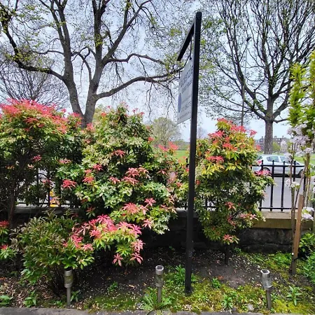 Mackenzie エディンバラ