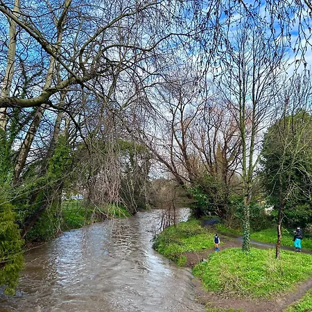 Urban Oasis:perfect In City Daire *