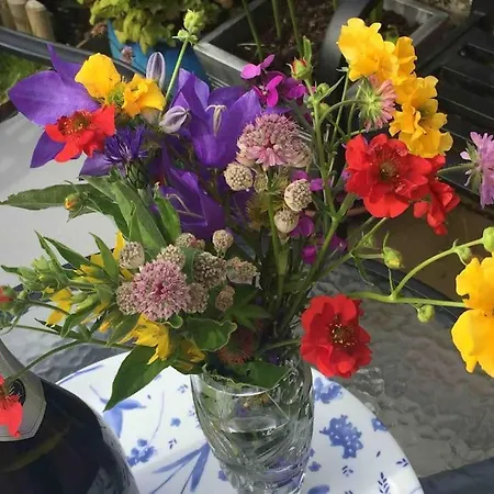 Apartamento Wardie Garden *