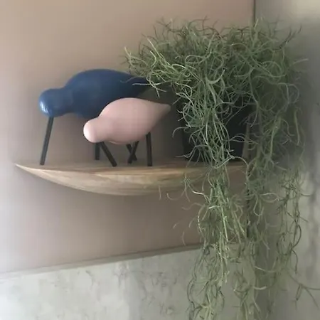 Ultra Stylish Furnished In Edinburgh