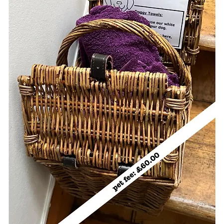 Very Central, Charlotte Square, Near The Castle Edinburg