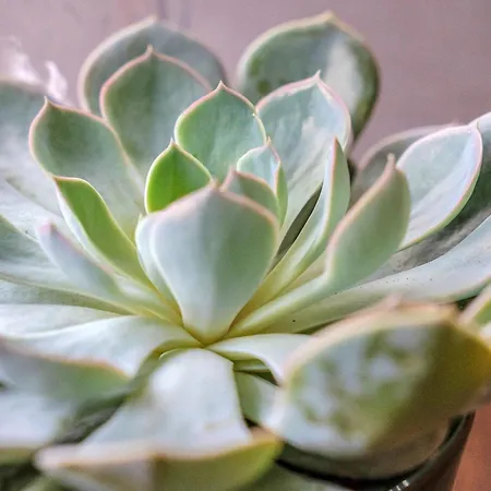 Guestready - Serenity Flat Near St. Centre Apartament Edynburg