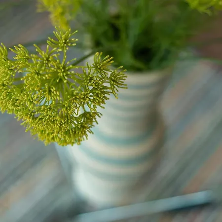 Ground Floor 2 Bed Flat Slateford Эдинбург