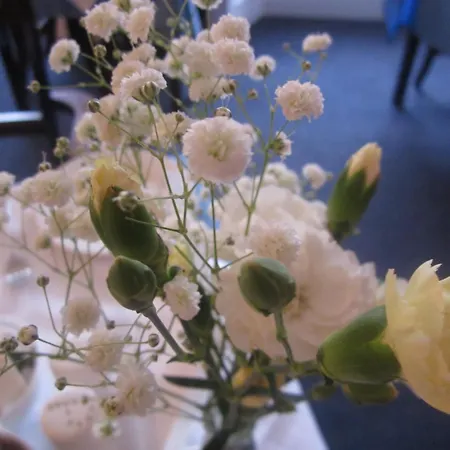 Penzion Elder York Edinburgh