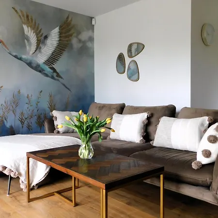 Beautiful Meadowbank With On-street Parking Apartment *