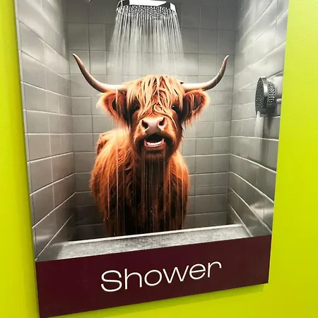 Safestay Cowgate