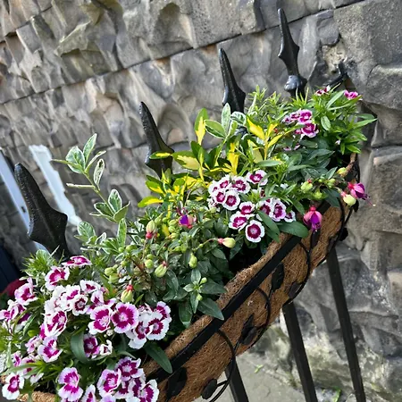 Cosy Georgian Flat 公寓 爱丁堡