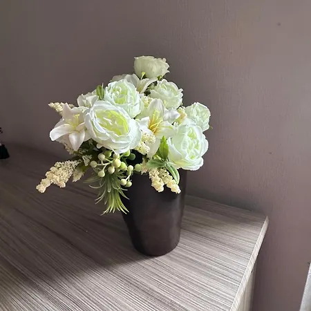 Apartment 1 Bedroom In Old Town *