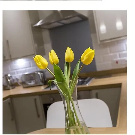 The Lane Appartamento